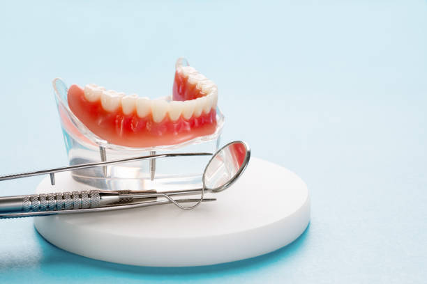 Professional Dental Services in Eidson Road, TX